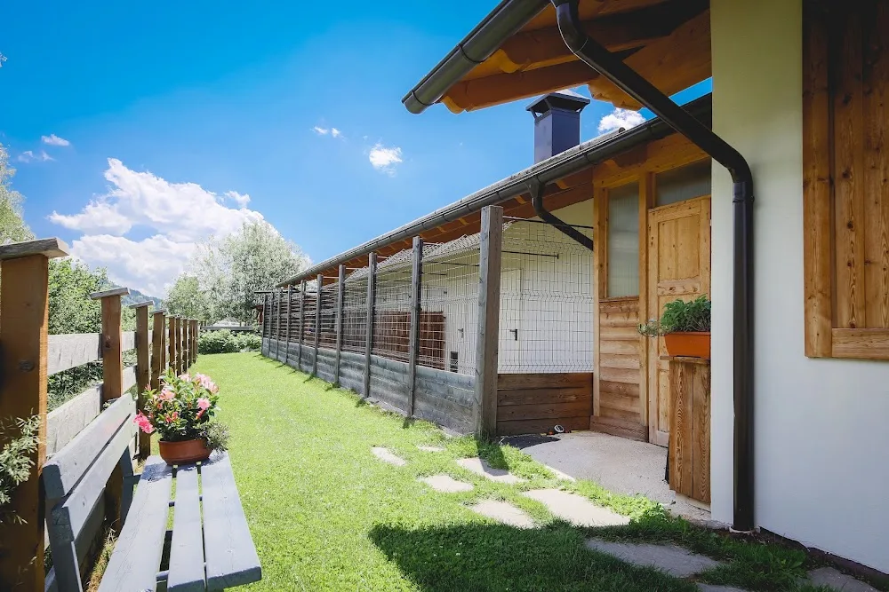 Allevamento cinofilo della Rosa Canina - pensione per cani - toelettatura per cani - South Tyrol pet otel