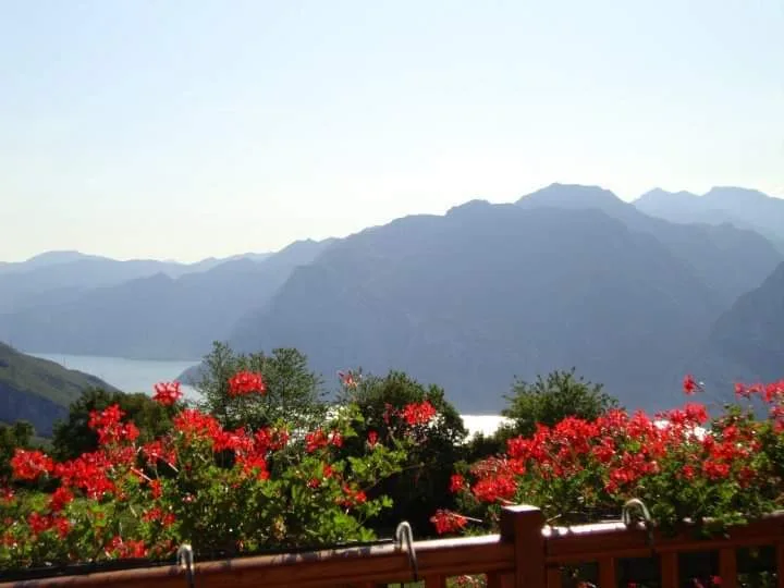 Pensione per Cani di Valluce - South Tyrol pet otel görseli 3