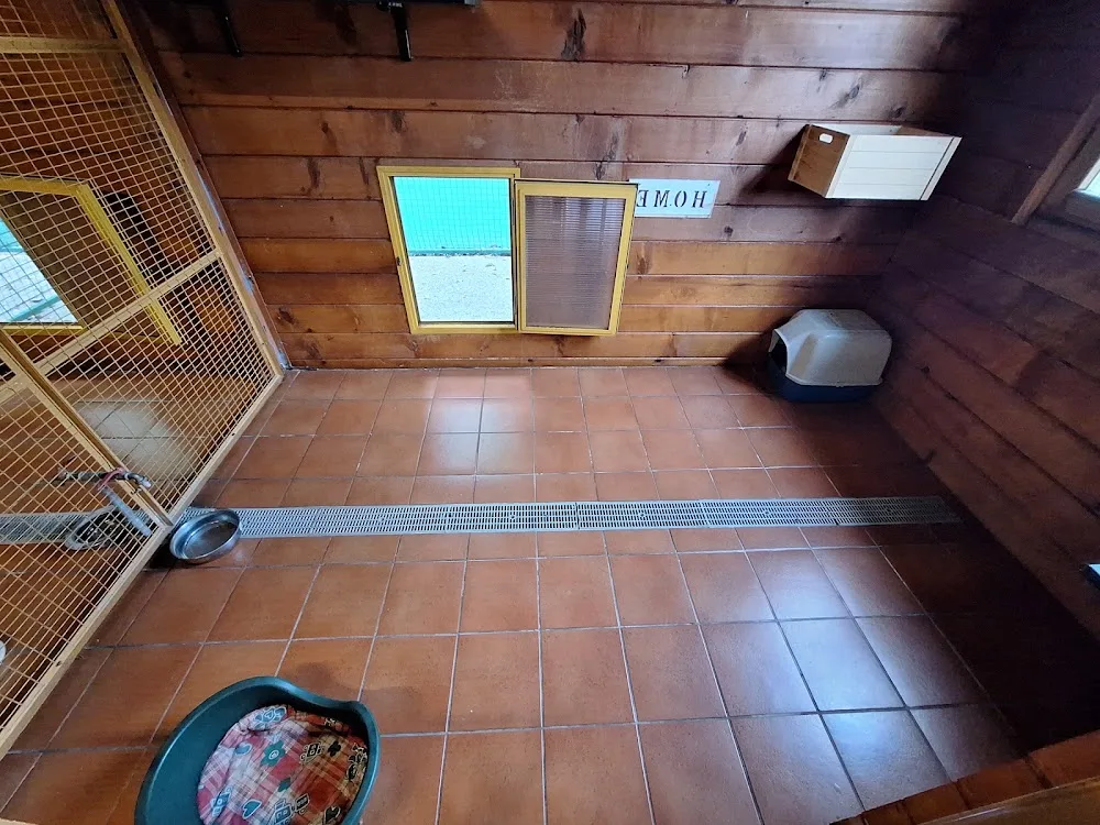 Pensione per cani e gatti - La Giara - South Tyrol pet otel görseli 3