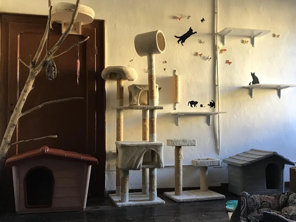 Purrfect House - South Tyrol pet otel görseli 3