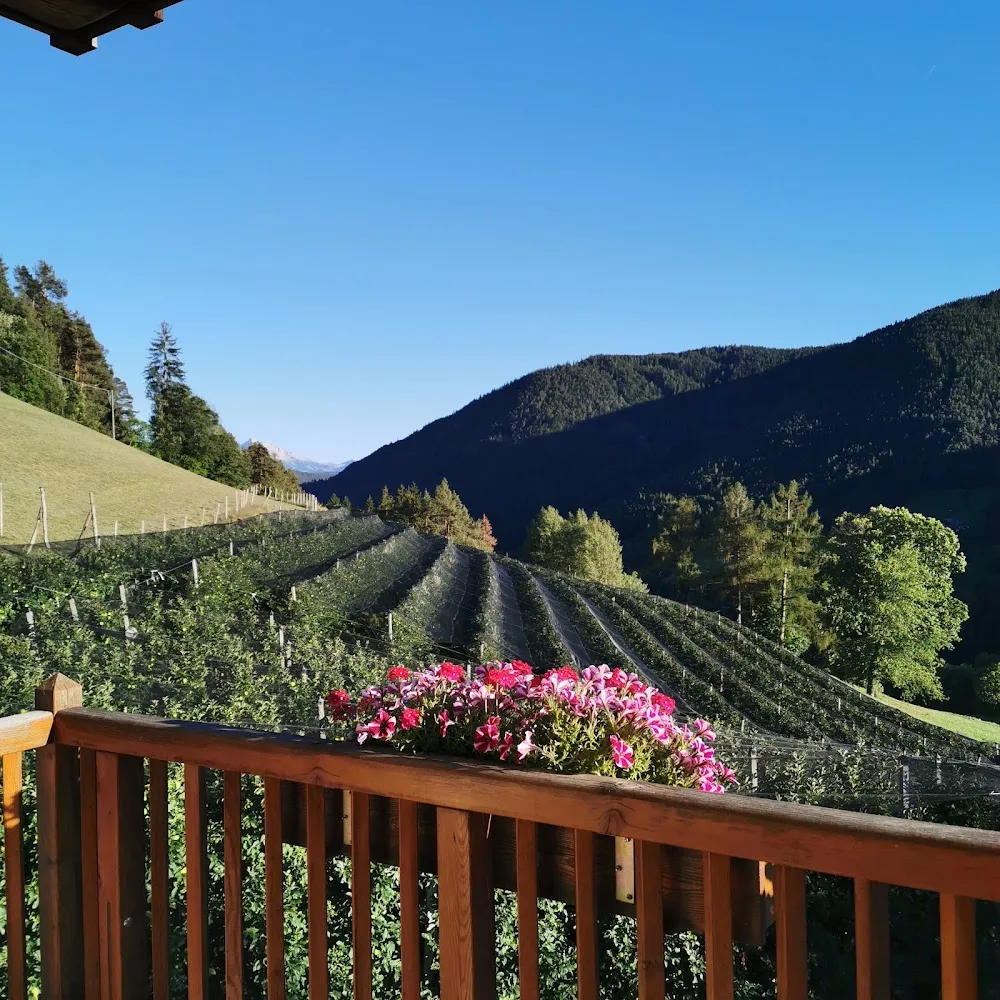 Tierpension Kohlerhof - South Tyrol pet otel