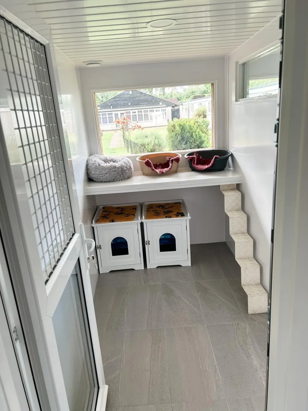 The Friendly Cattery - Southend-on-Sea pet otel görseli 2