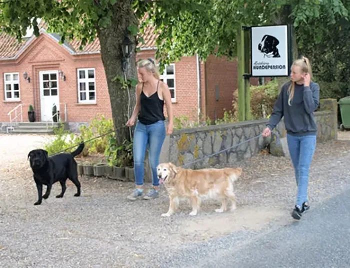 Ærtebjerg Hundepension v/Ditte Stevne Kristensen - Southern Denmark pet otel