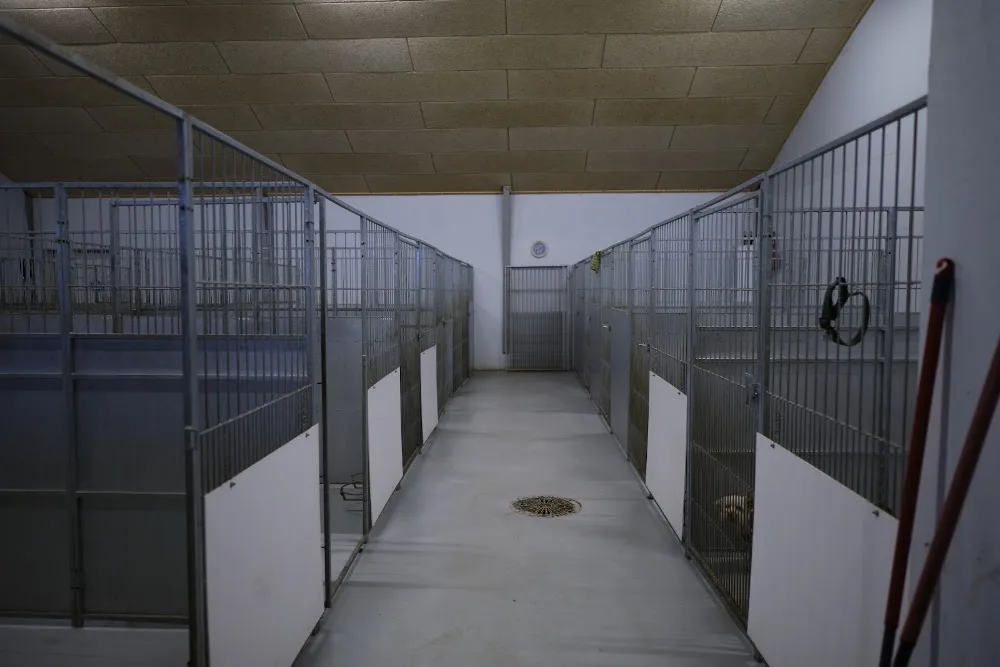 Haverbæk Hundepension - Southern Denmark pet otel görseli 3