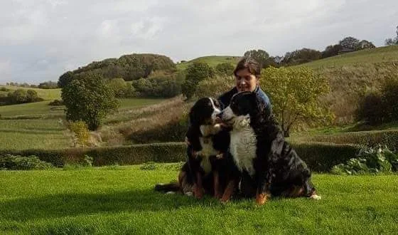 Karens Hundehotel - Southern Denmark pet otel