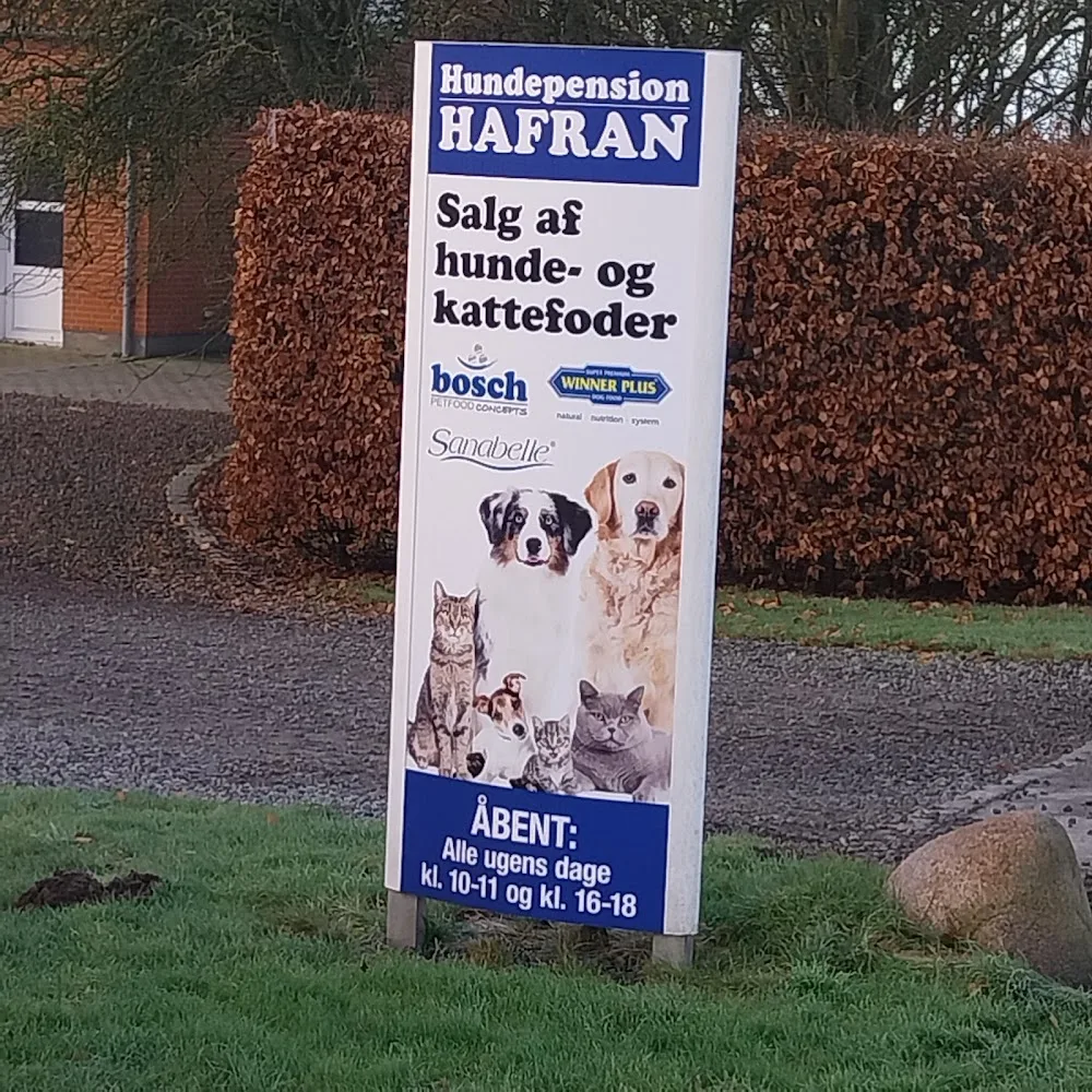Kennel Hafran - Hundepension Aabenraa, Sønderjylland - Southern Denmark pet otel görseli 3