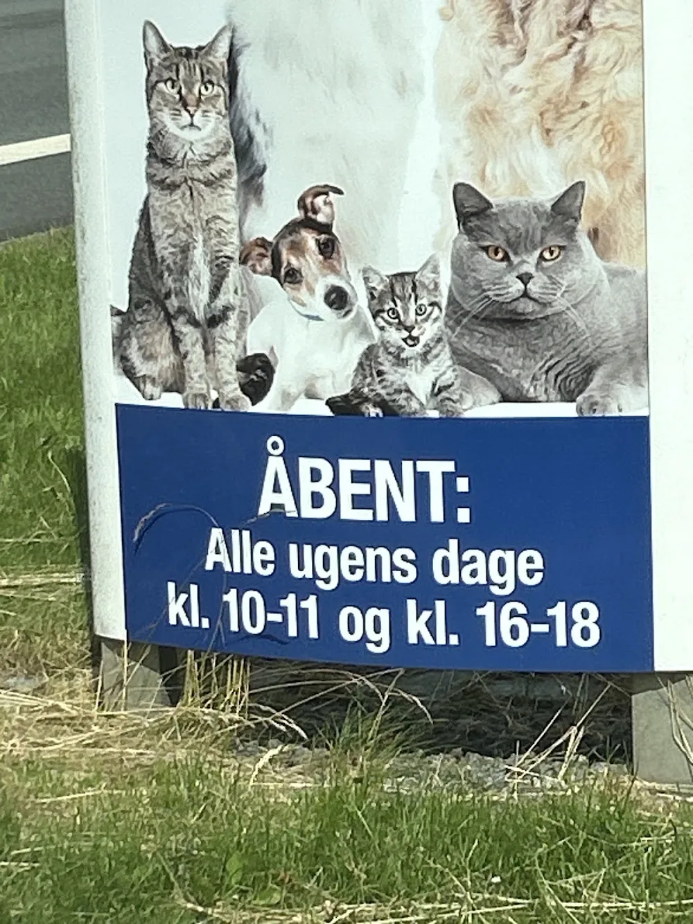 Kennel Hafran - Hundepension Aabenraa, Sønderjylland - Southern Denmark pet otel görseli 4