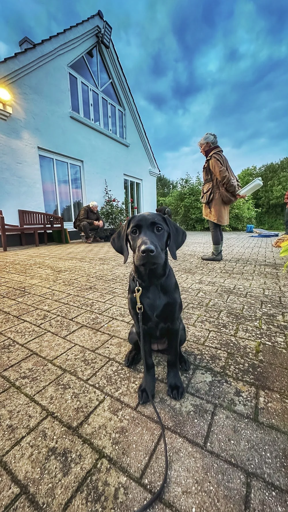 Kennel Seaside Gundogs - Southern Denmark pet otel görseli 2