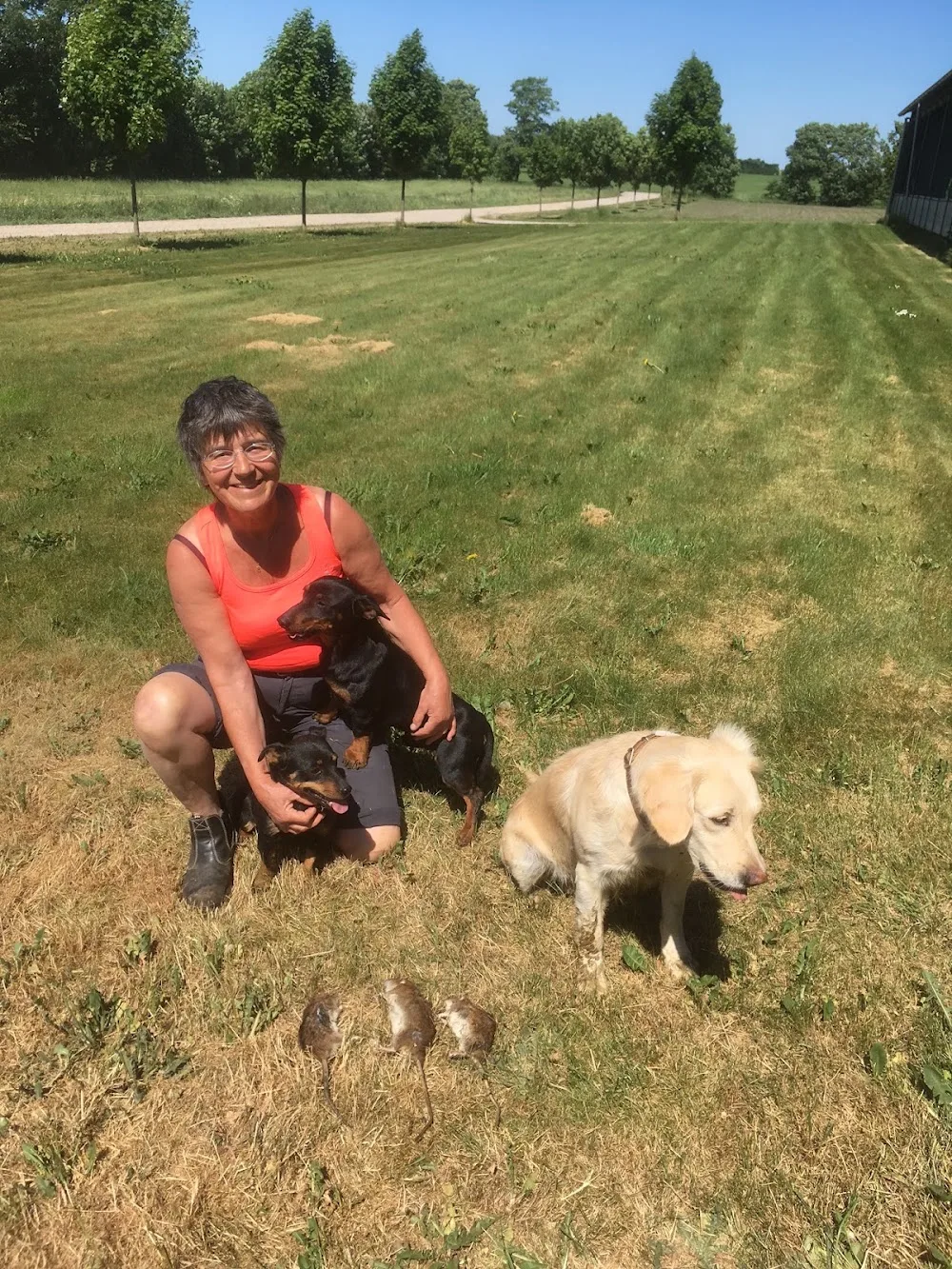 Klostergårdens Hundepension v/Eva Lind - Southern Denmark pet otel