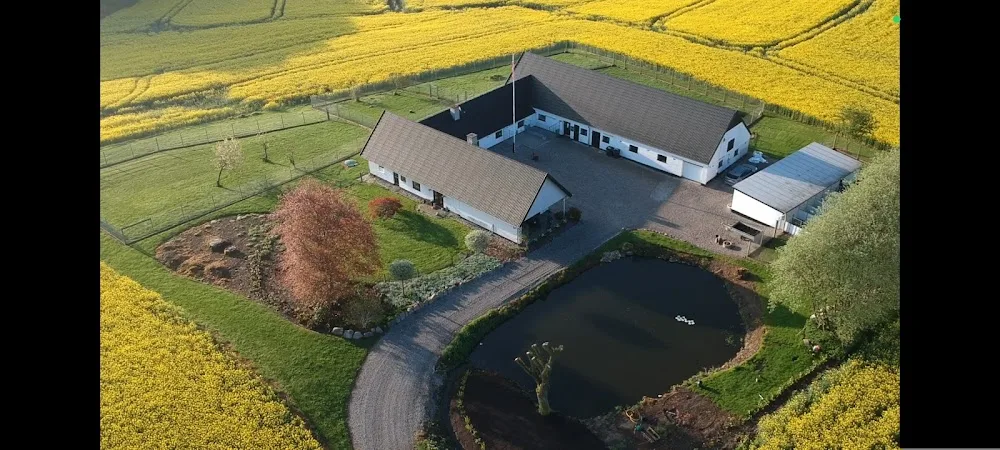 Lille Dyred Hundepension v/Kikki Nielsen - Southern Denmark pet otel görseli 2