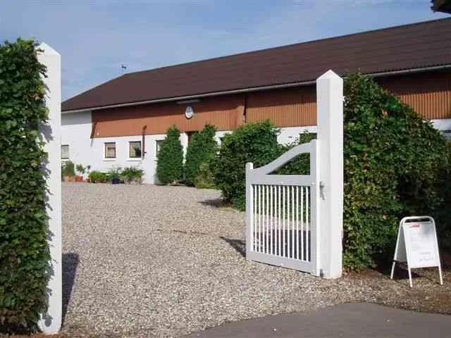 Lykkegårdens hunde- og kattepension - Southern Denmark pet otel görseli 2
