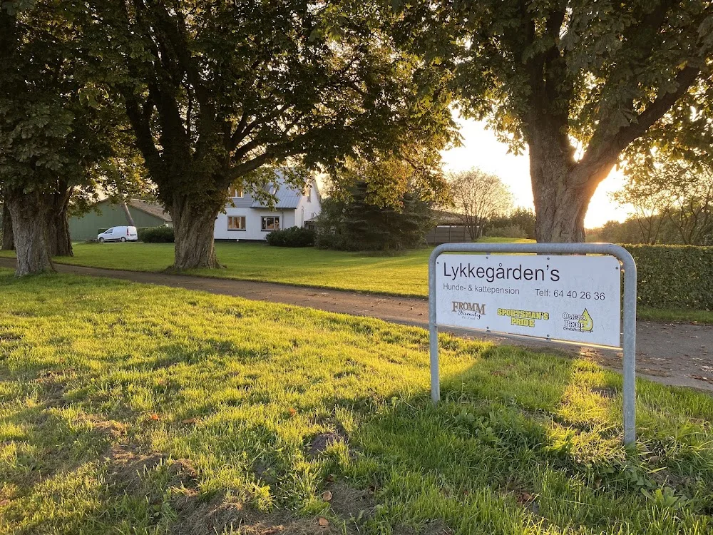Lykkegårdens hunde- og kattepension - Southern Denmark pet otel görseli 3