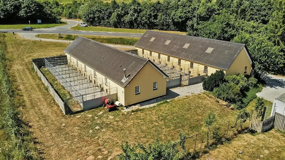 Martedal Dyreinternat- Det gode dyreliv - Telefonen er åben 10 - 16 - Southern Denmark pet otel