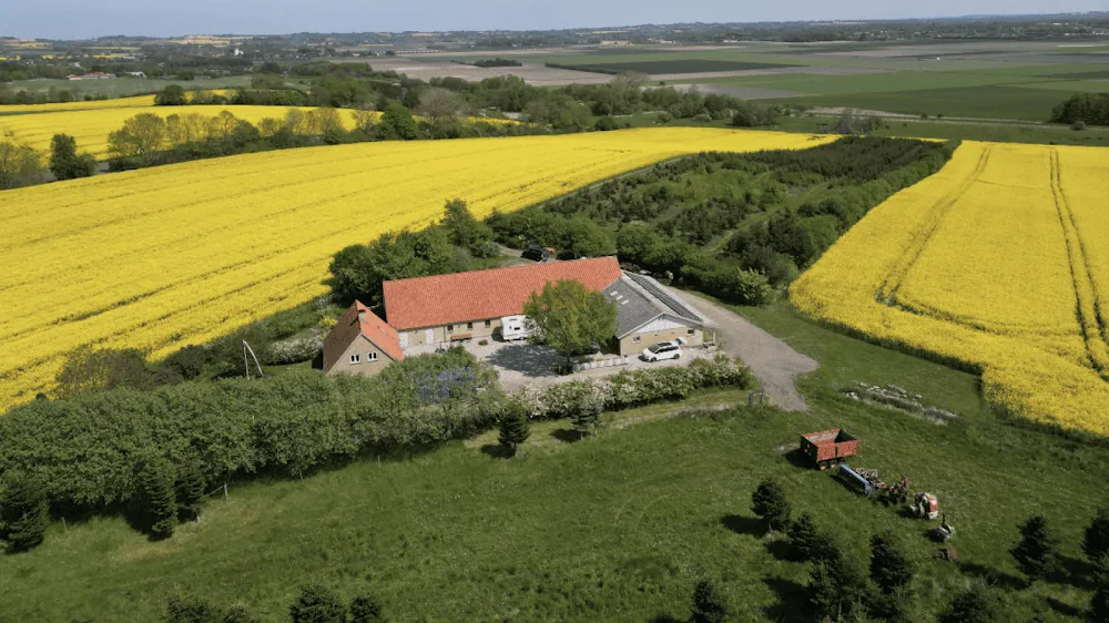 Perthus Hundepension - Southern Denmark pet otel