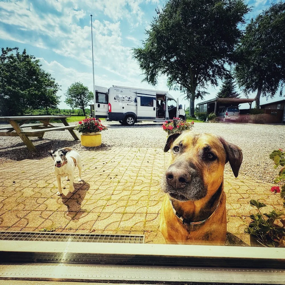 Primdal Inger - Southern Denmark pet otel