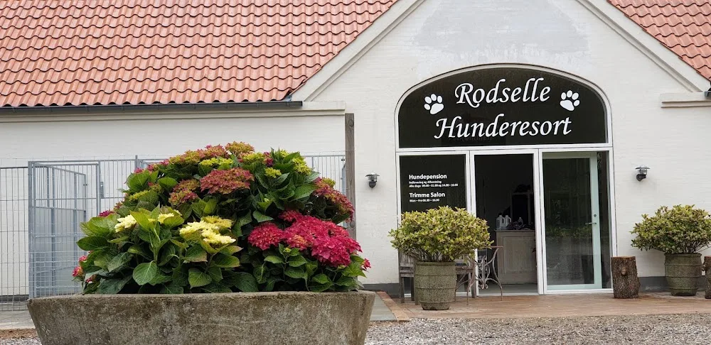 Rodselle Hundepension - Southern Denmark pet otel