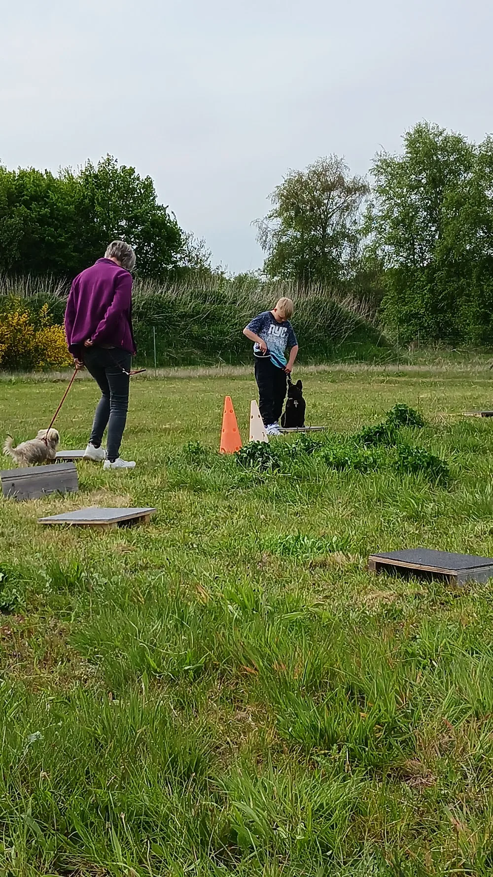 Rønhoffs Hundepension - Southern Denmark pet otel görseli 3