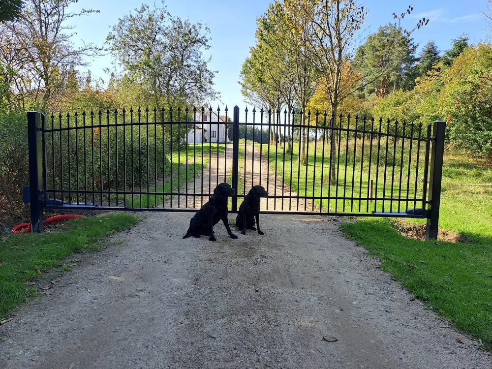 Team Huntingdogs - Southern Denmark pet otel