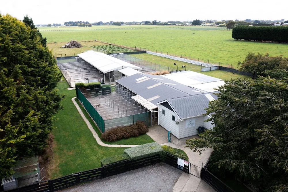 Lornewood Kennels - Southland pet otel