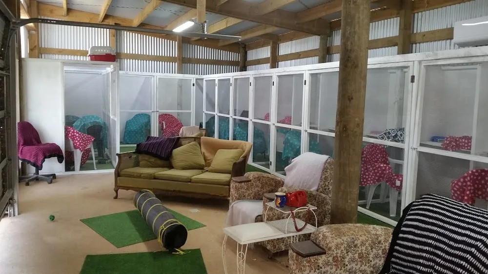 Pawsome Cattery - Southland pet otel görseli 3