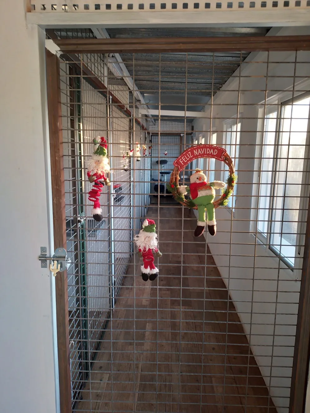 Arista Kats Cattery/Residencia Felina - Spain pet otel görseli 3