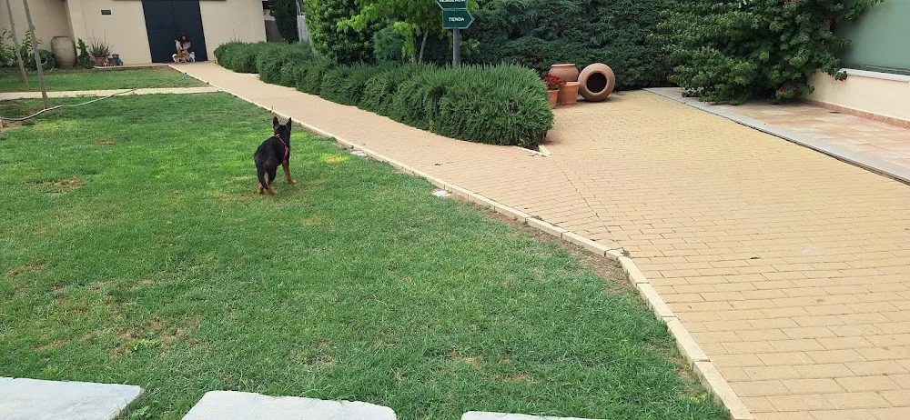 Cenla Residencia Canina Valencia - Spain pet otel görseli 3