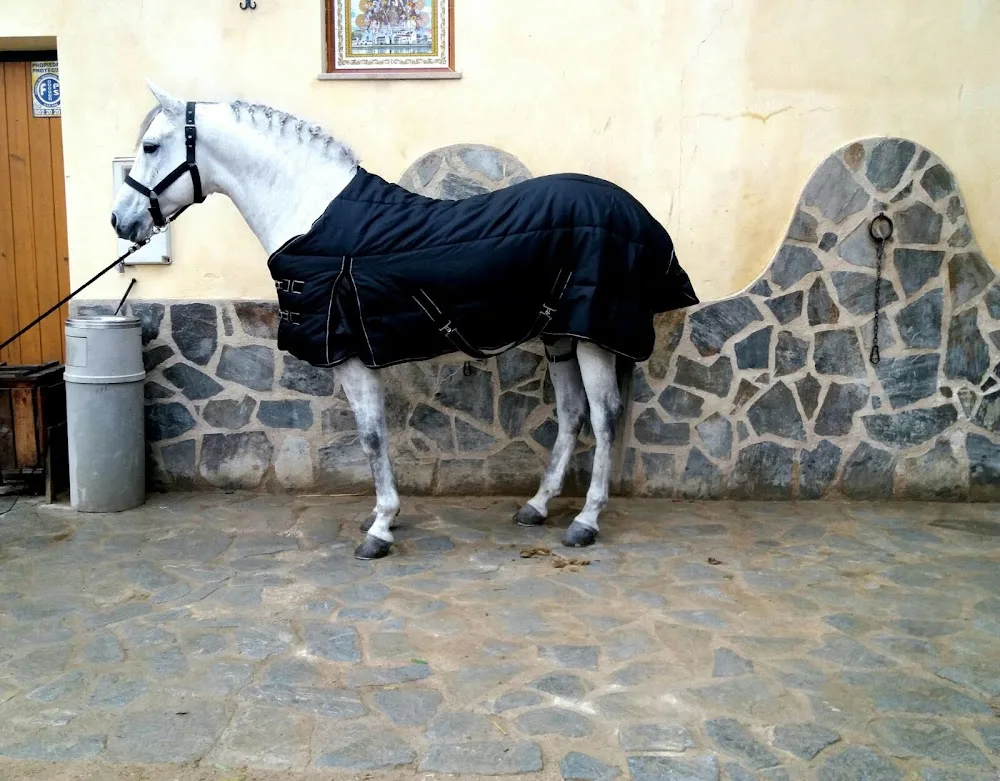 Centro Canino Dacosta y Ruphete - Spain pet otel görseli 2
