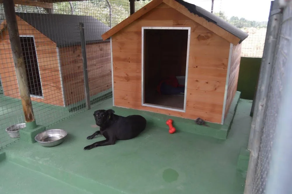 Cozy Kennels S.L - Spain pet otel görseli 2