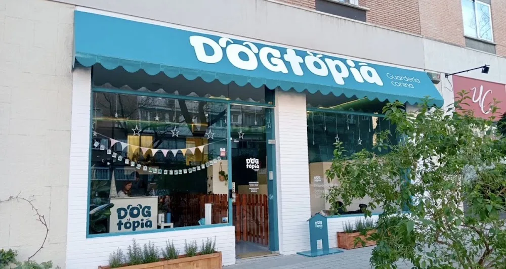 Dogtopia - Spain pet otel görseli 3