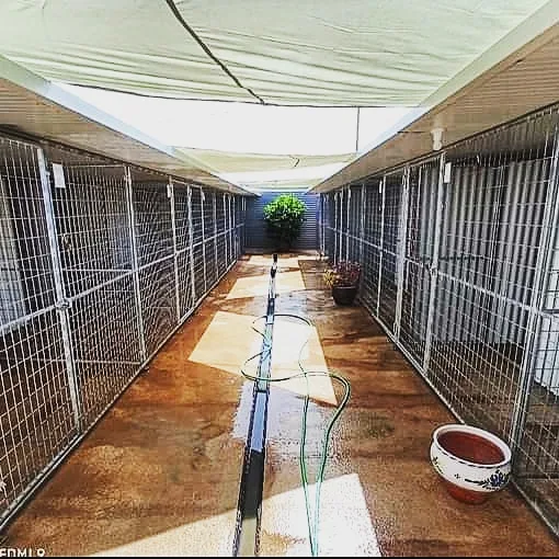 Domestycan - Spain pet otel görseli 2