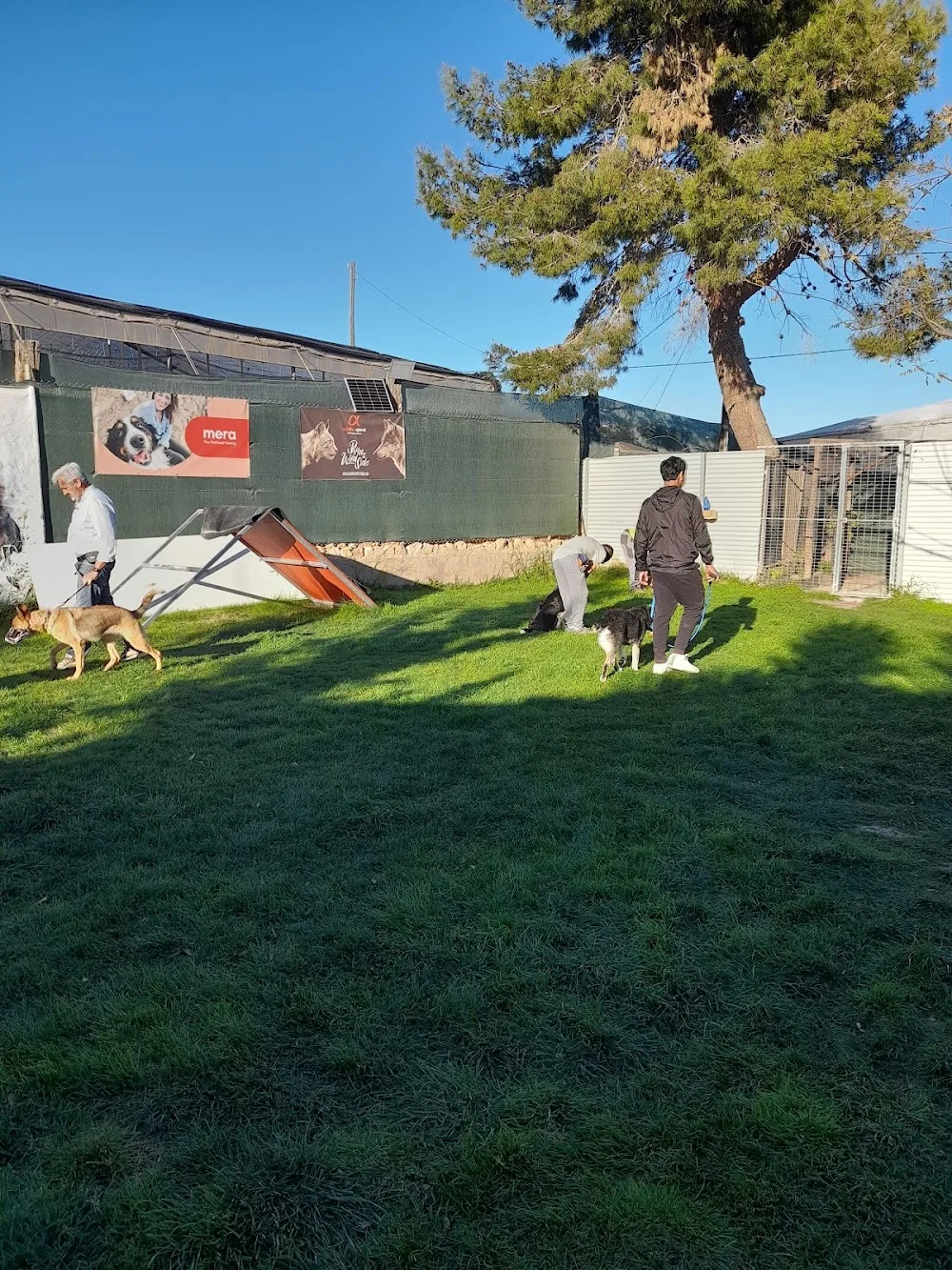 Domestycan - Spain pet otel görseli 3