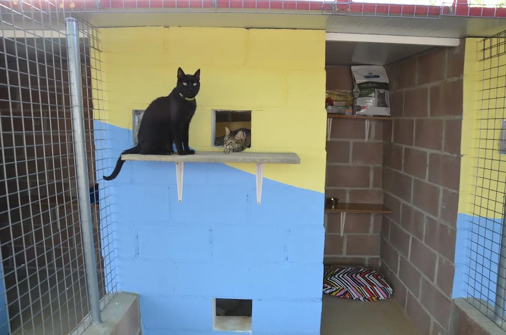 GRANJA la LUNA Residencia canina perros gatos en Madrid - Spain pet otel görseli 2