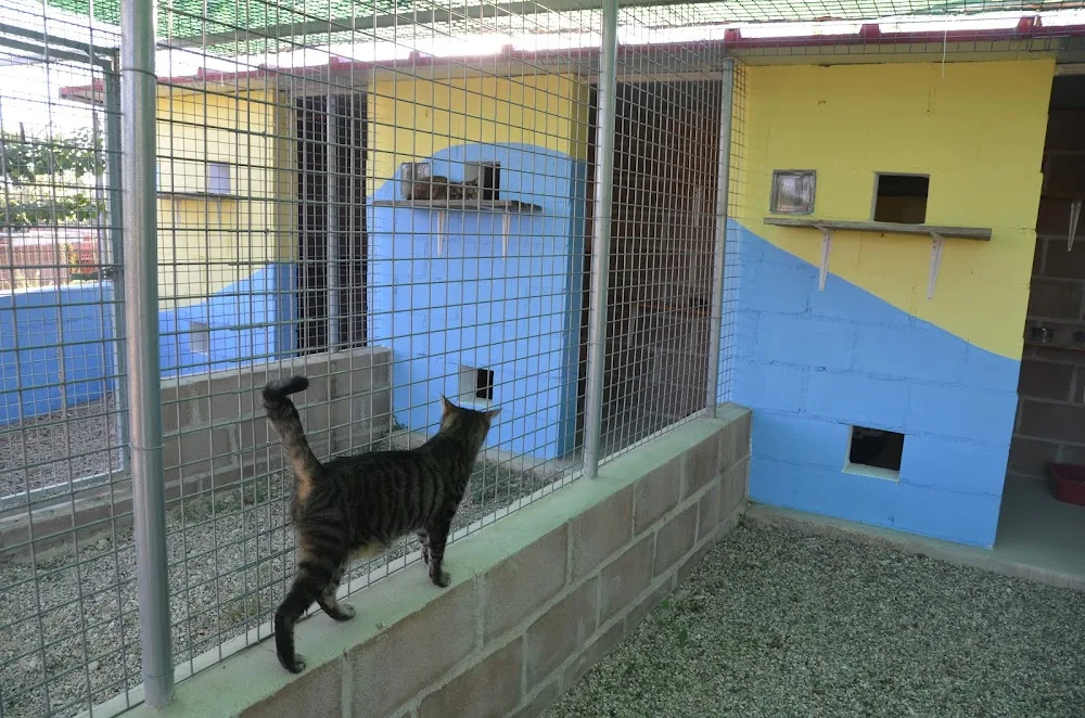 GRANJA la LUNA Residencia canina perros gatos en Madrid - Spain pet otel görseli 5