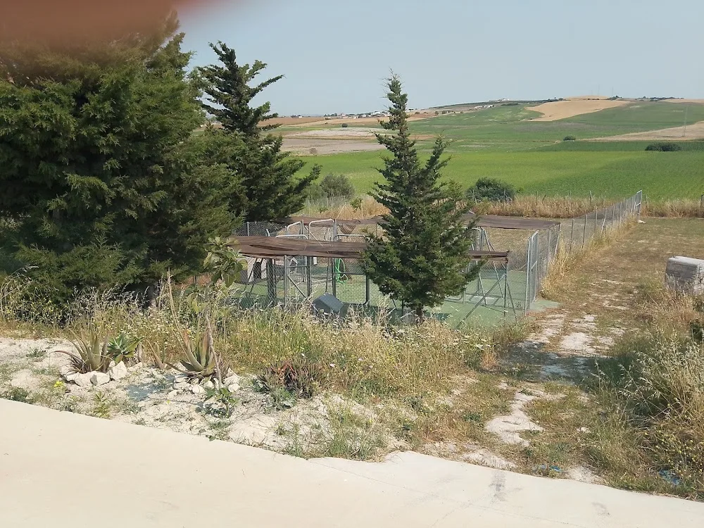 Guardería de perros en Chiclana el Bosque Encantado - Spain pet otel görseli 2