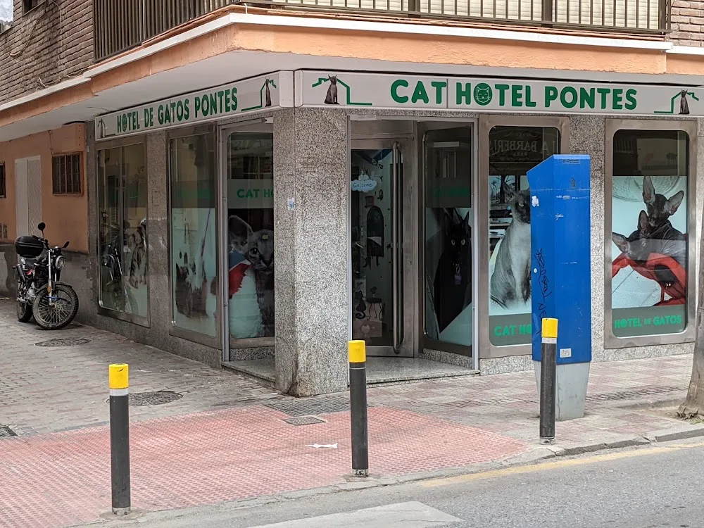HOTEL DE GATOS PONTES Cat hotel Pontes - Spain pet otel