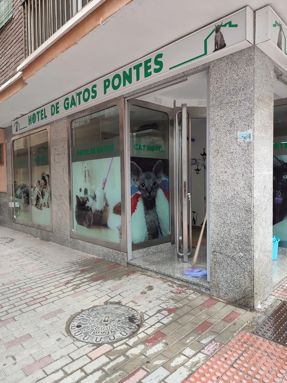 HOTEL DE GATOS PONTES Cat hotel Pontes - Spain pet otel görseli 3
