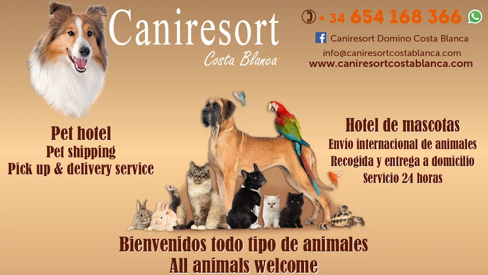 Hotel de Mascotas, Residencia Canina, Pet Hotel, Day Care Center, CANIRESORT COSTA BLANCA, La Marina/Elche - Spain pet otel görseli 2