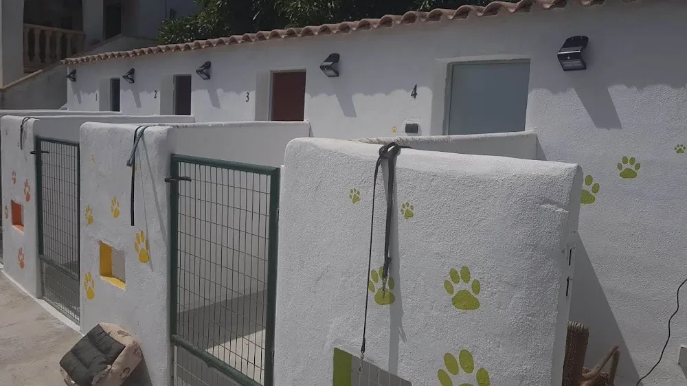 Hotel HappyPet - Spain pet otel görseli 3