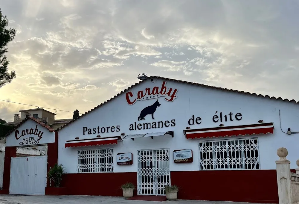 New Caraby - Spain pet otel