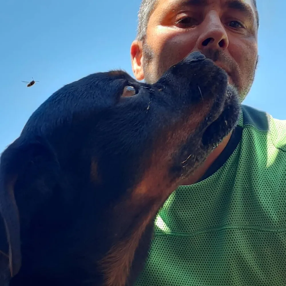 RESIDENCIA ANA de Perros Y Gatos Precio Diario 16€ por dia - Spain pet otel görseli 2