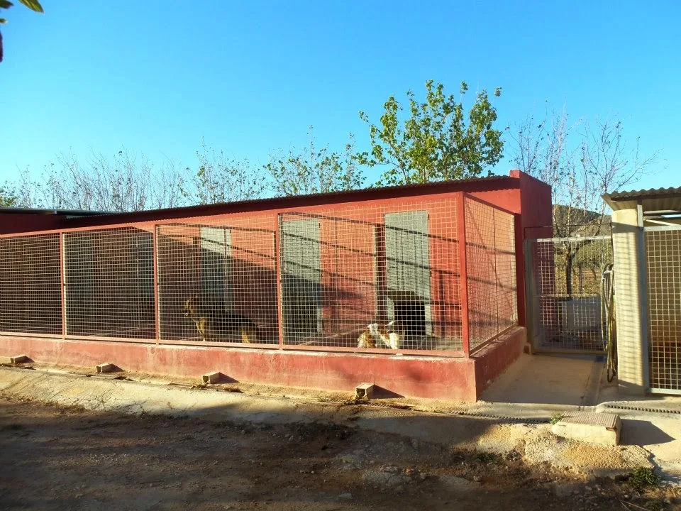 Residencia Canina Animalia - Spain pet otel görseli 3