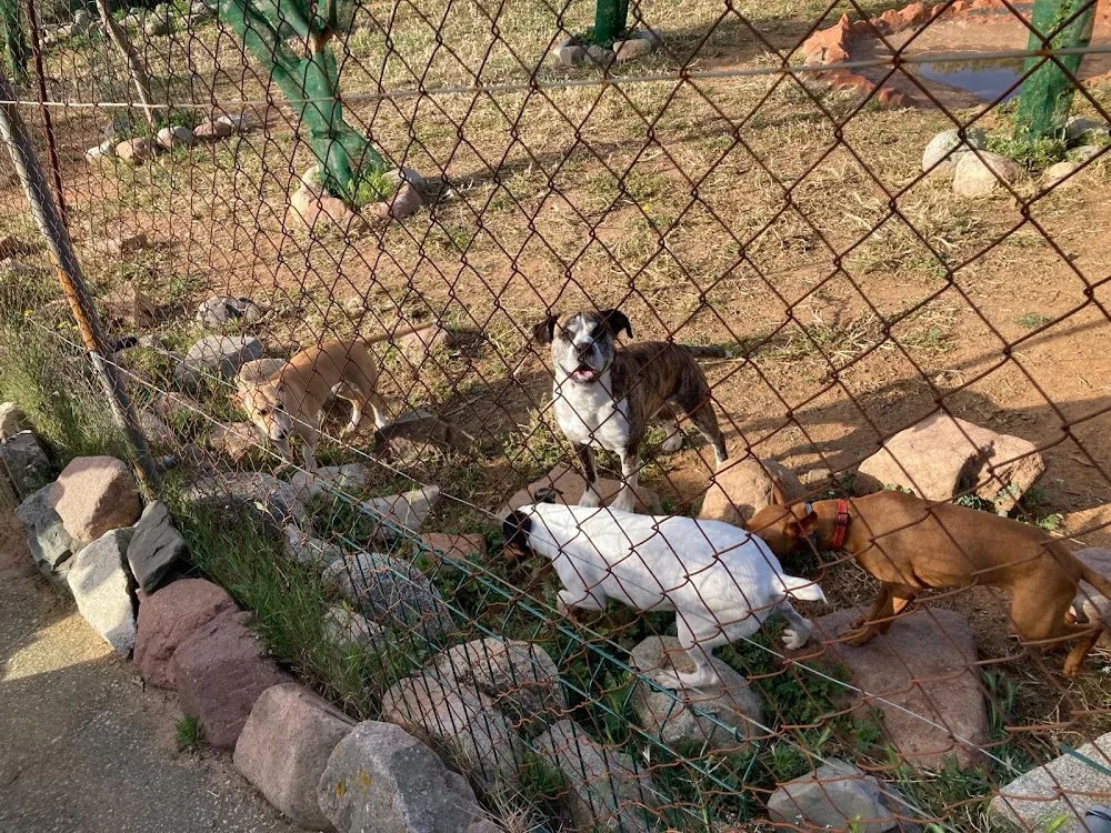 Residència canina Can Hash - Spain pet otel görseli 2