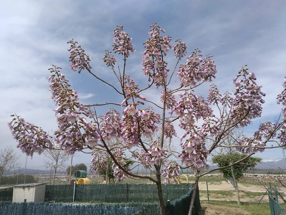 Residencia Canina Sierracan - Spain pet otel görseli 2