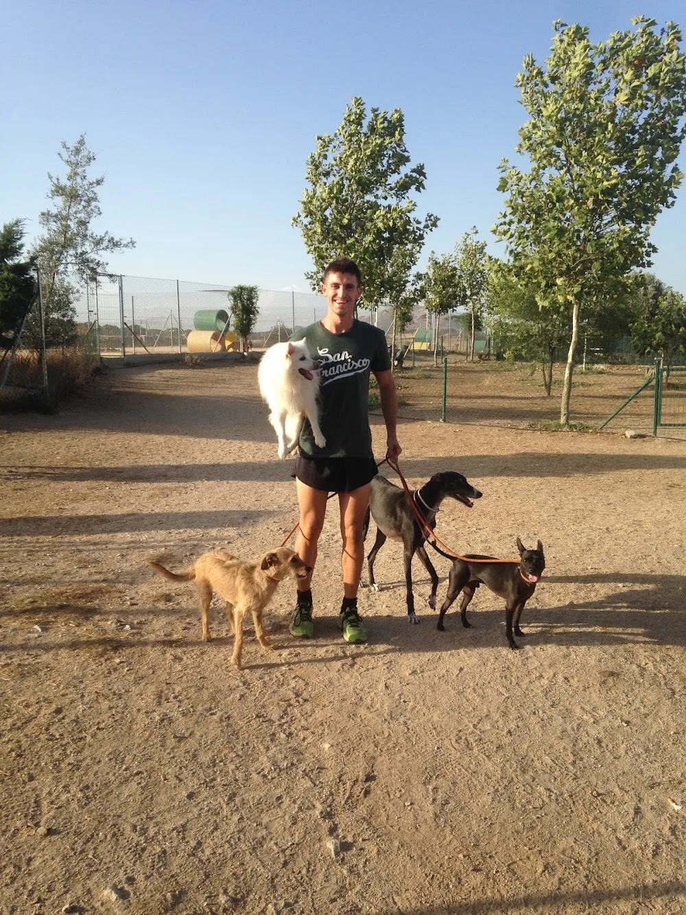 Residencia Canina Sierracan - Spain pet otel görseli 3
