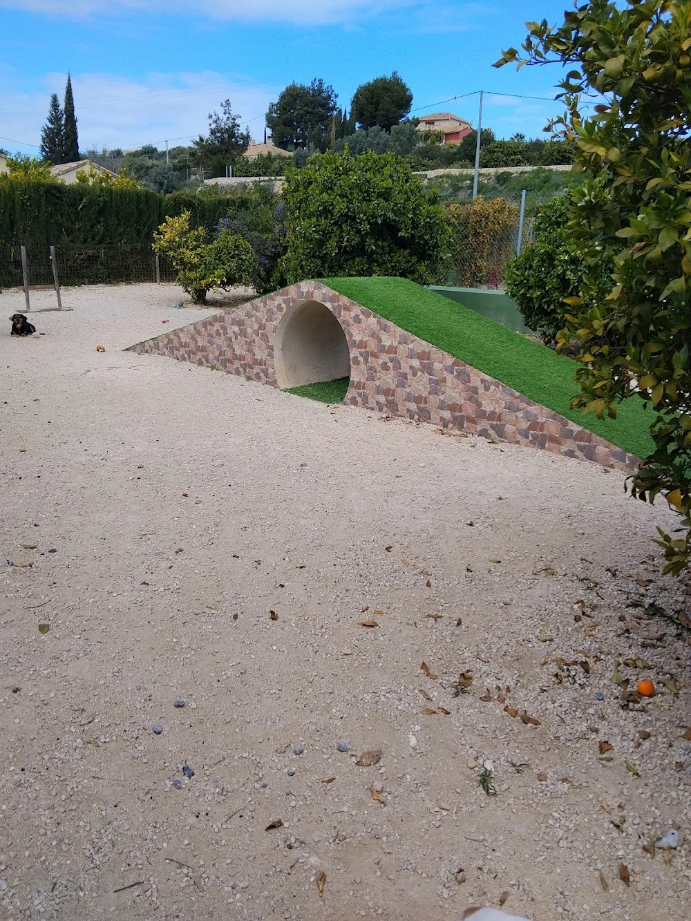 Residencia canina y felina Elité - Spain pet otel görseli 2