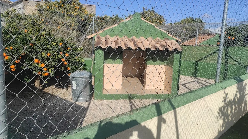 Residencia canina y felina Elité - Spain pet otel görseli 3