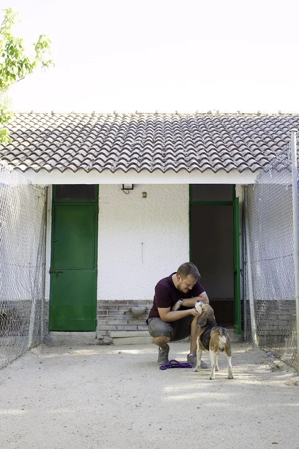 Residencia Canina y Felina las Brañas - Spain pet otel görseli 4