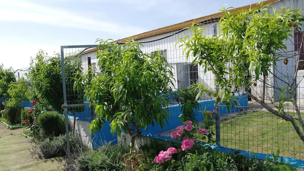 Residencia de Mascotas Los Perales - Spain pet otel görseli 2