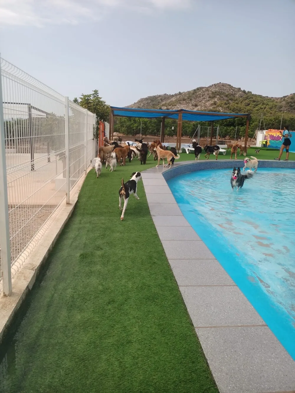 Resort Animal, GOS AVENTURA, Castellon. - Spain pet otel