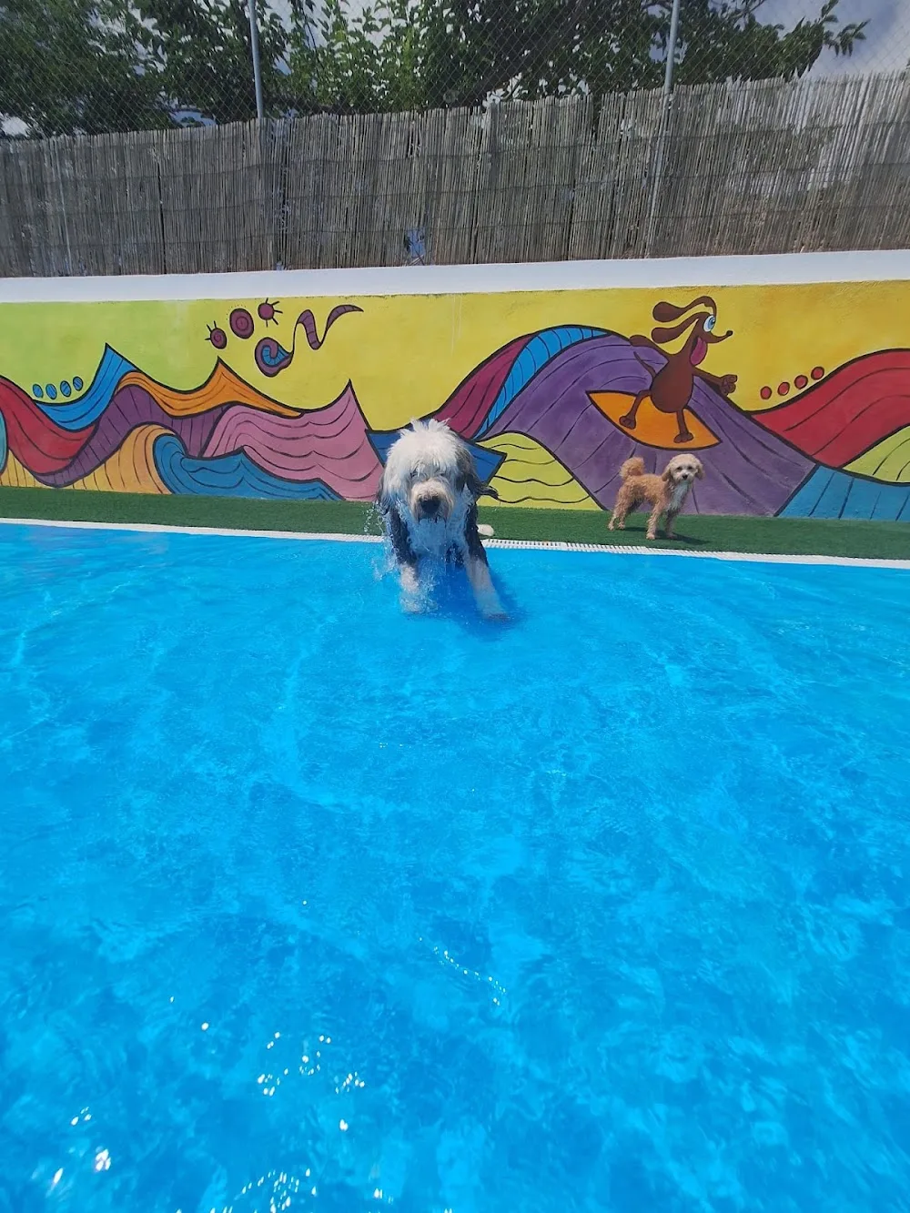 Resort Animal, GOS AVENTURA, Castellon. - Spain pet otel görseli 3
